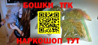 мдпв Бийск