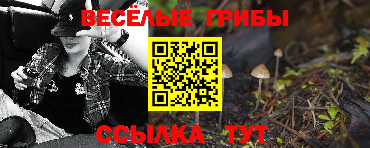 Батайск  где можно купить наркотик  Вход с VPN  Псилоцибиновые грибы Psilocybine cubensis  Псилоцибиновые грибы Psilocybine cubensis 