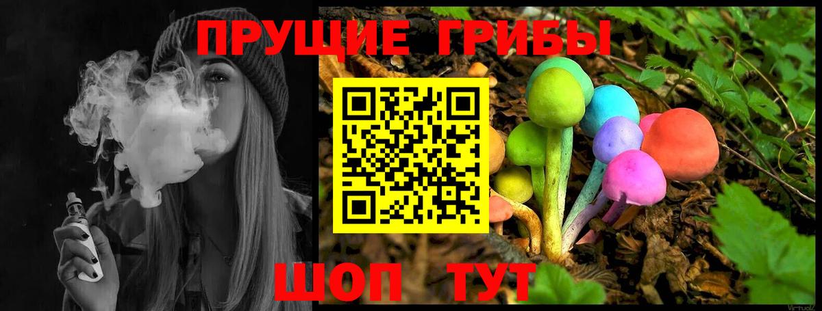 Псилоцибиновые грибы мицелий Батайск